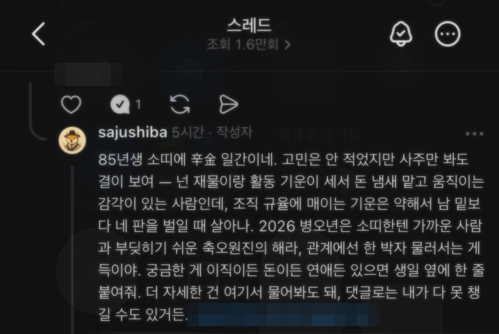 쓰레드 글 화면: 조회 1.6만회 · 작성자 sajushiba 가 댓글에 사주 풀이로 답한 글 (댓글 작성자 정보·링크 모자이크)